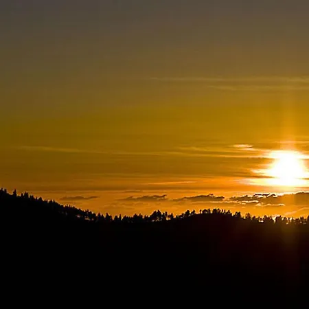 Ostello Canary Sun *